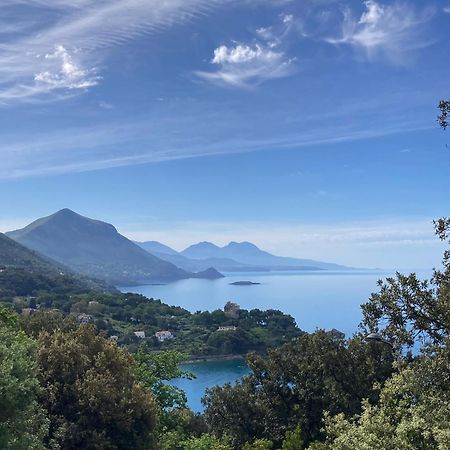 Il Casalino Lägenhet Maratea Exteriör bild