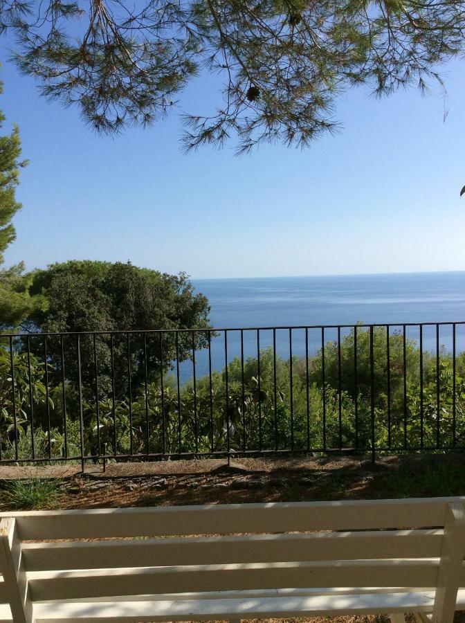 Il Casalino Lägenhet Maratea Exteriör bild